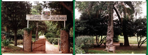 Jardin Botanico en Concordia